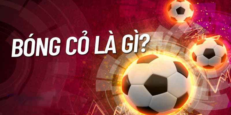 Đây là trò cá cược đang được yêu thích hiện nay