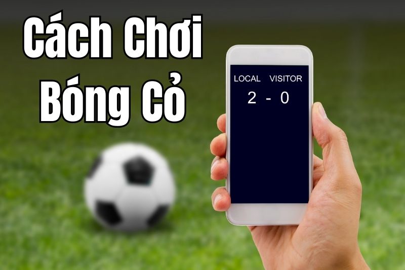 Học hỏi cách chơi và kinh nghiệm