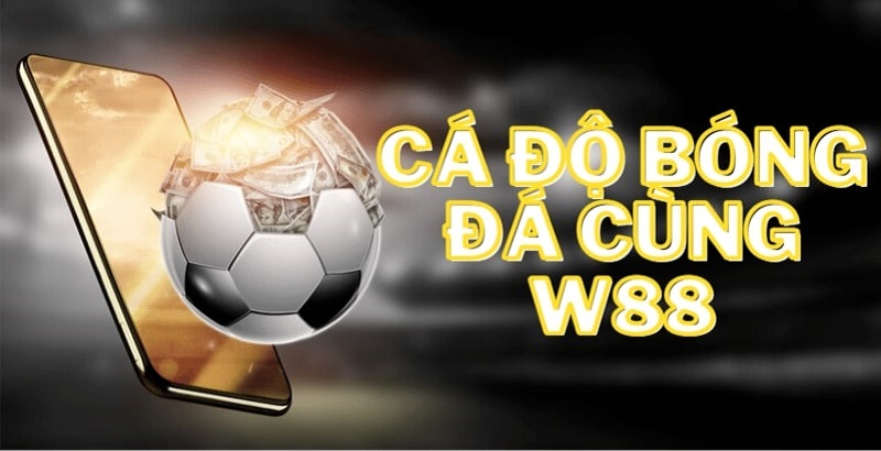 Tải xuống ứng dụng cá của bạn là hệ điều hành iOS hay Android