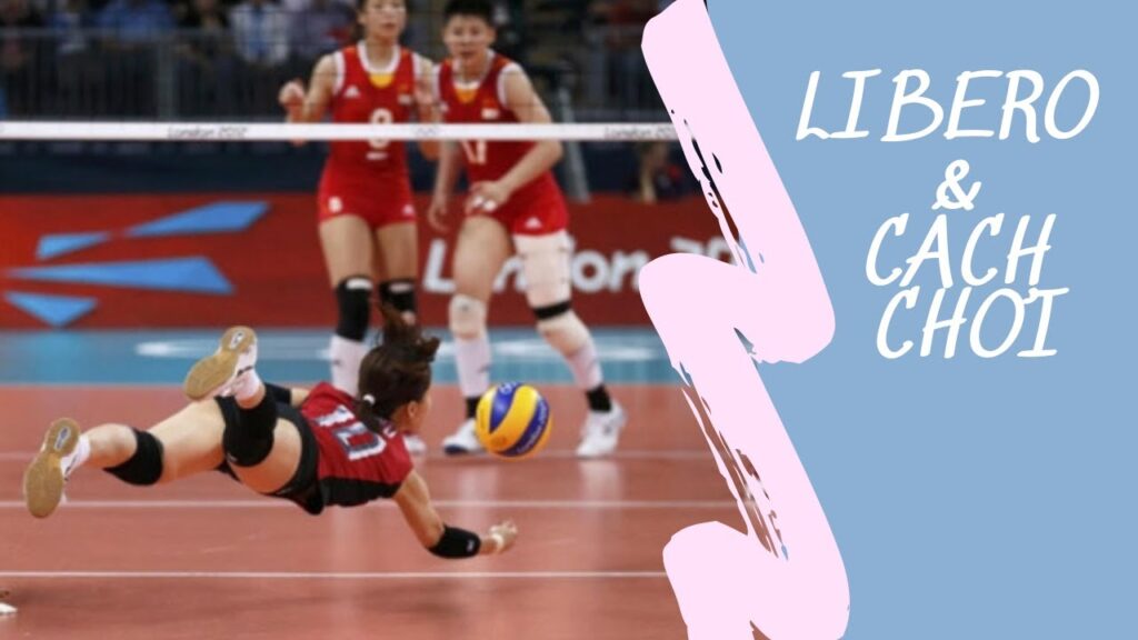 libero là gì