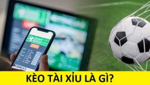 Sơ lược về kèo trên dưới có nghĩa là gì cho người chơi mới