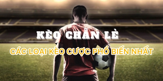 Tổng hợp một số loại kèo chẵn lẻ phổ biến nhất hiện nay