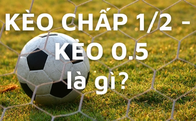 Kèo 0.5 là gì?
