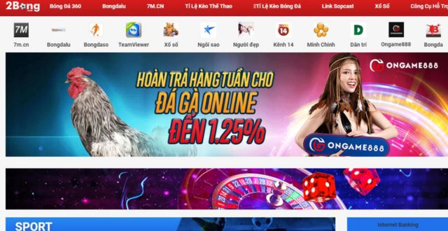 2bong không chỉ cung cấp thông tin về bóng đá mà còn cập nhật về đá gà và lô đề xổ số
