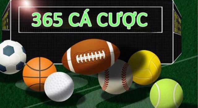 Nhà cái 365cacuoc - sân chơi cá cược trực tuyến uy tín và chất lượng