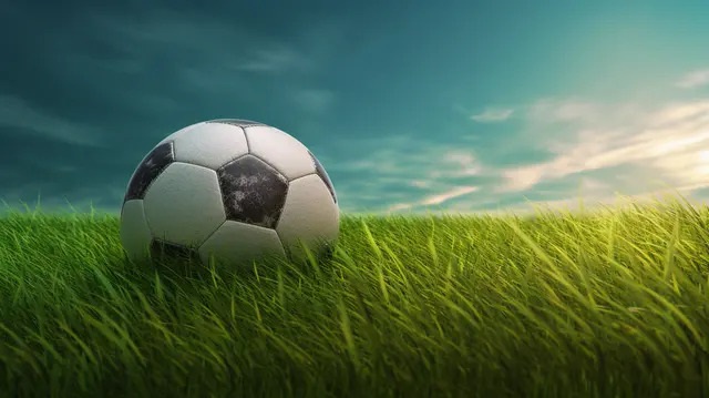 Điểm qua những ưu điểm nổi bật của loại hình bóng cỏ