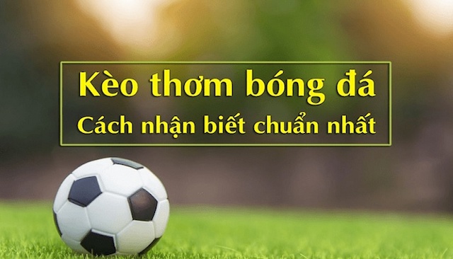 Những lưu ý trong cách chọn kèo bóng đá hiệu quả