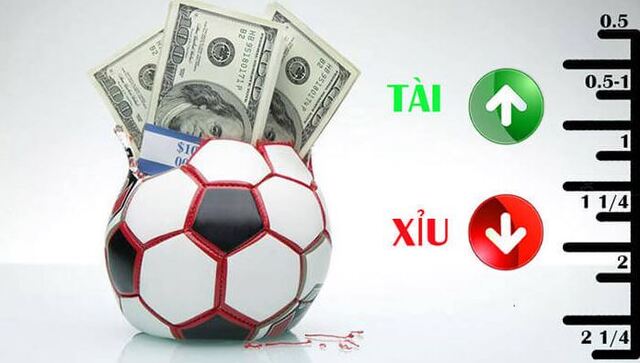 Mách bạn luật bắt tài xỉu bóng đá chuẩn nhất Mách bạn luật bắt tài xỉu bóng đá chuẩn nhất