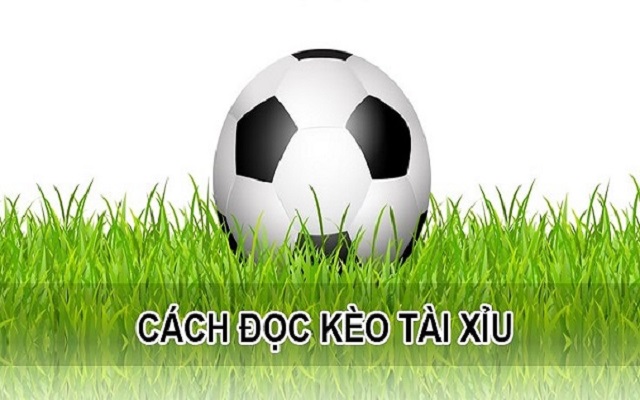 Hướng dẫn cách đọc kèo tài xỉu 1 1 5