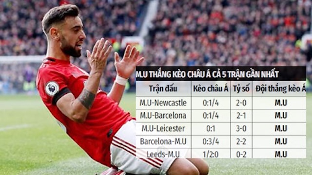 Hướng dẫn cách xem kèo bóng đá cho người mới