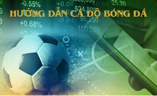 Hướng dẫn cá độ bóng đá và mẹo chơi hiệu quả nhất