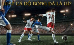 Khám phá ngay luật cá độ bóng đá chi tiết nhất từ A - Z