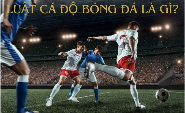 Khám phá ngay luật cá độ bóng đá chi tiết nhất từ A - Z
