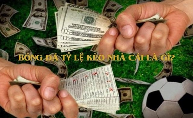 Khám phá ngay những chia sẻ quý báu của các chuyên về bóng đá tỷ lệ kèo nhà cái